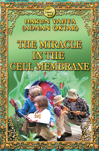 The Miracle in the Cell Membrane