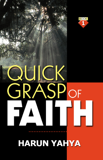 Quick Grasp of Faith 1