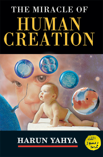 The Miracle of Human Creation