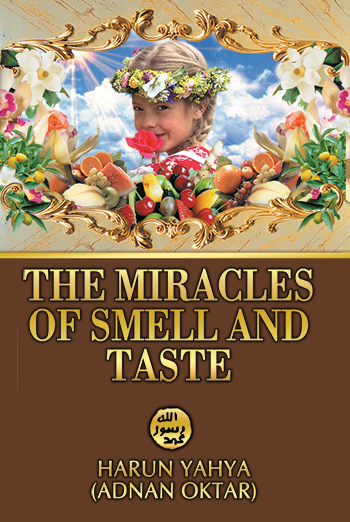 The Miracles of Smell and Taste