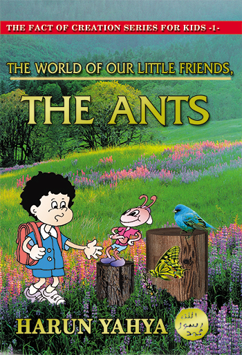 The World of Our Little Friends, Ants