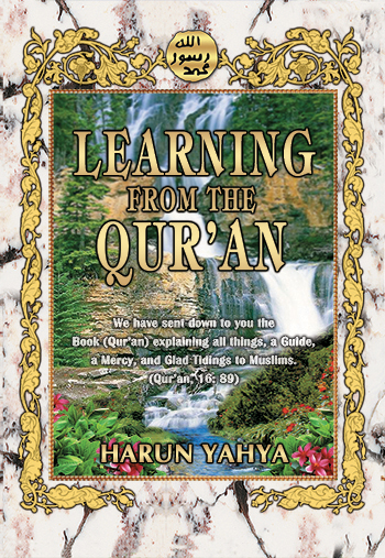 Learning from the Quran