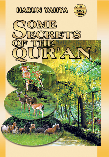 Some Secrets of the Qur’an