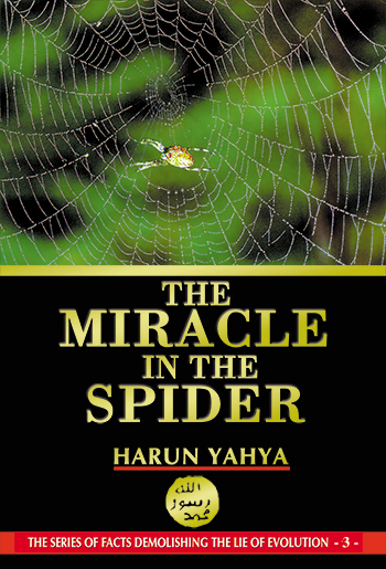 The Miracle in the Spider