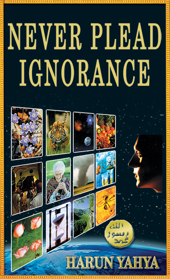 Never Plead Ignorance