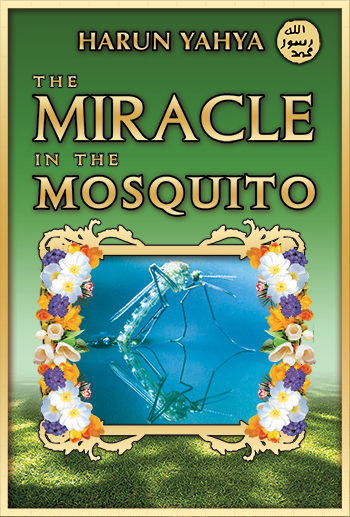 The Miracle in the Mosquito