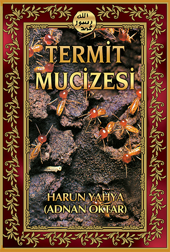 Termit Mucizesi