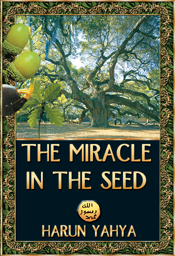 The Miracle in the Seed