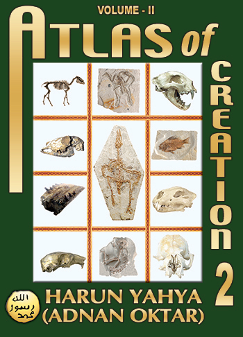 Atlas of Creation-Vol.2