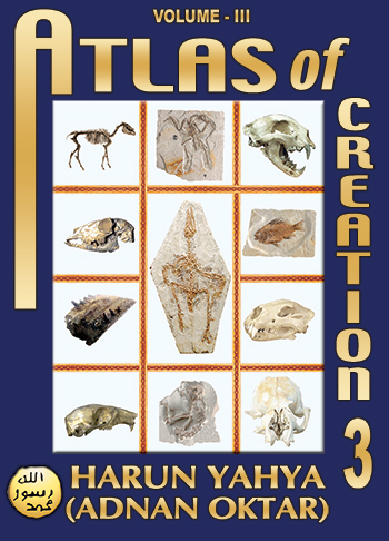 Atlas of Creation-Vol.3