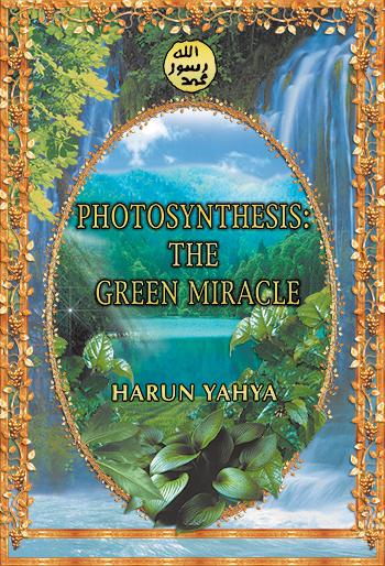 Photosynthesis: The Green Miracle