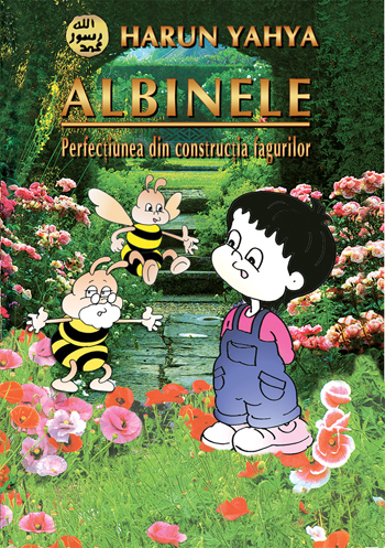 Albinele - Perfectiunea Din Constructia Fagurilor