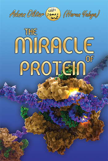 The Miracle of Protein