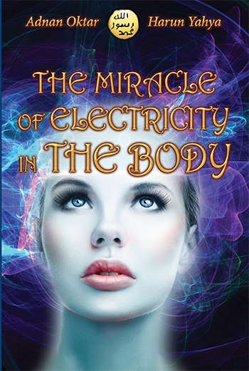 The Miracle of Electricity in the Body