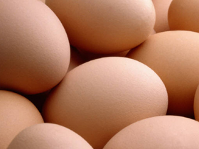 Yumurtanın üstün tasarımı