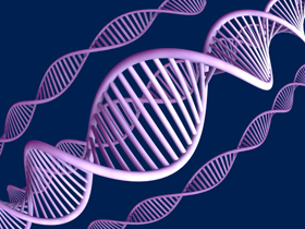 DNA'nın sürekli yenilenip kopyalanması