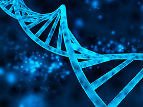 DNA: A Glorious Marvel of Creation