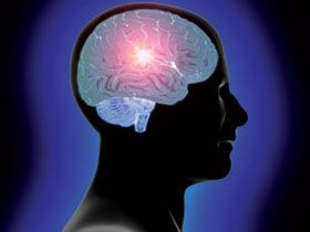 İnsan Beynindeki Sinir Hücrelerinin Uzunluğunun 1000 Kilometre Olduğunu Biliyor Musunuz?