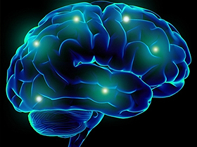 1350-1400 q olan insan beyninin yaddaşı 100 super kompüterin məlumat bazasına bərabərdir.