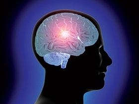 Beynin əmrlərini elektrik siqnalları ötürür. Bədən