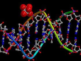 Paul Auger'in (Evrimci Fransız bilim adamı) DNA'nın Tesadüfen Oluşamayacağı İle İlgili İtirafı