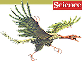 Science Dergisi'nin Hayali Ara Form Archaeopteryx Hakkındaki İtirafı