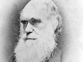 Charles Darwin'in İnsan Ruhunun Evrimle Açıklanamayacağı İle İlgili İtirafı