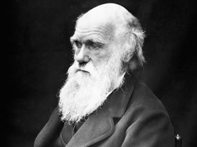 Charles Darwin'in Varyasyonlar Hakkındaki İtirafları