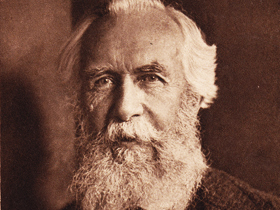 Ernst Haeckel'in Rekapitülasyon Teorisinin Geçersizliği ile İlgili İtirafı