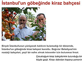 İstanbul'a meyve bahçeleri