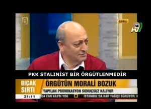 Prof.  Dr. Vedat Bilgin: PKK Stalinist Bir Yapılanmadır