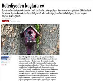 Bursa’da Belediyeden Kuşlara Ev