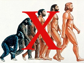 Some people who believe that they are descended from apes by way of evolution will assume the appearance of apes and pigs