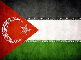 Türkiye, Filistin'in umudu oldu; Türk ve Filistin bayrakları yanyana dalgalandı