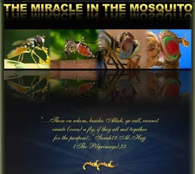 The Miracle in the Mosquito
