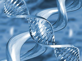 DNA’daki tamir mekanizması olmasa ne olurdu?