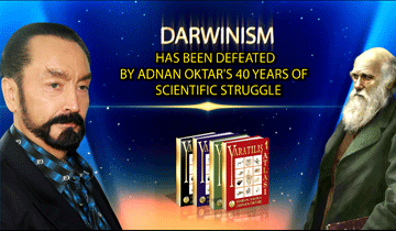 THE WESTERN MEDIA ANNOUNCES ONCE MORE: DARWINISM HAS BEEN DEFEATED BY ADNAN OKTAR'S 40 YEARS OF SCIENTIFIC STRUGGLE 