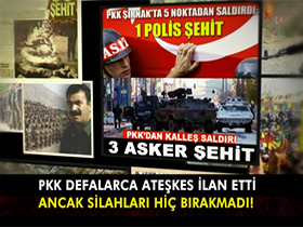 PKK'nın silah bırakma iddiası bir aldatmacadan iba