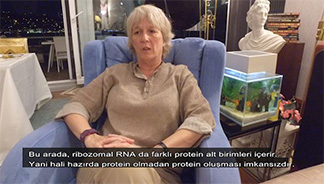 Dr. Anjeanette Roberts: Protein Olmadan Protein Oluşması İmkansızdır.
