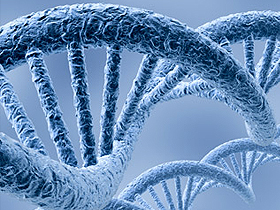Genom Projesi (Genome Project)