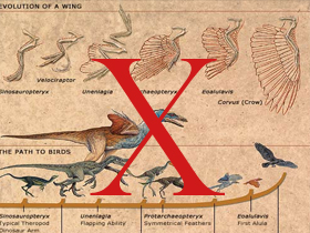 Origin of the Birds