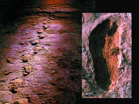 Laetoli Human Footprints, The