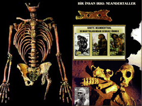 Neandertal: bir insan ırkı