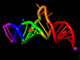 RNA dünyası senaryosu