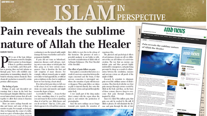 Pain reveals the sublime nature of Allah the Healer || Arab News