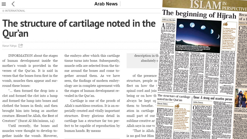 The structure of cartilage noted in the Qur’an || Arab News 