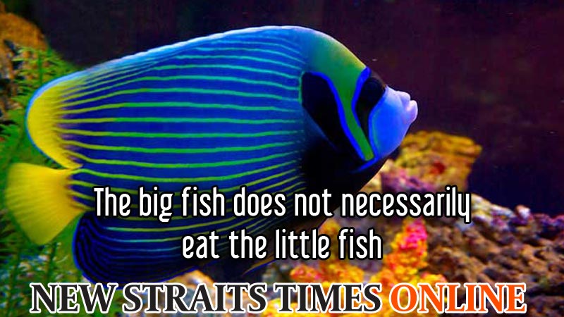 The big fish does not necessarily eat the little f