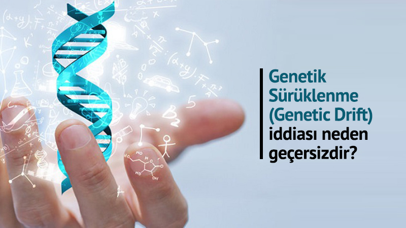 Genetik Sürüklenme iddiası neden geçersizdir?