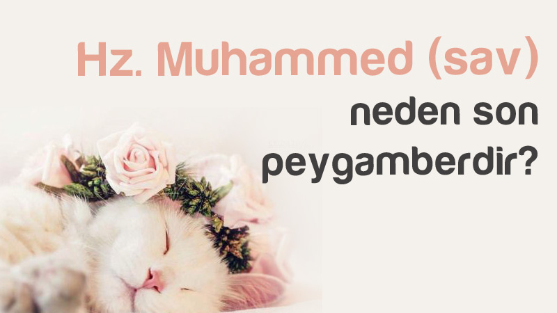 Hz. Muhammed (sav) neden son peygamberdir?	  
