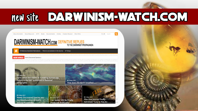 Darwinisim Watch
